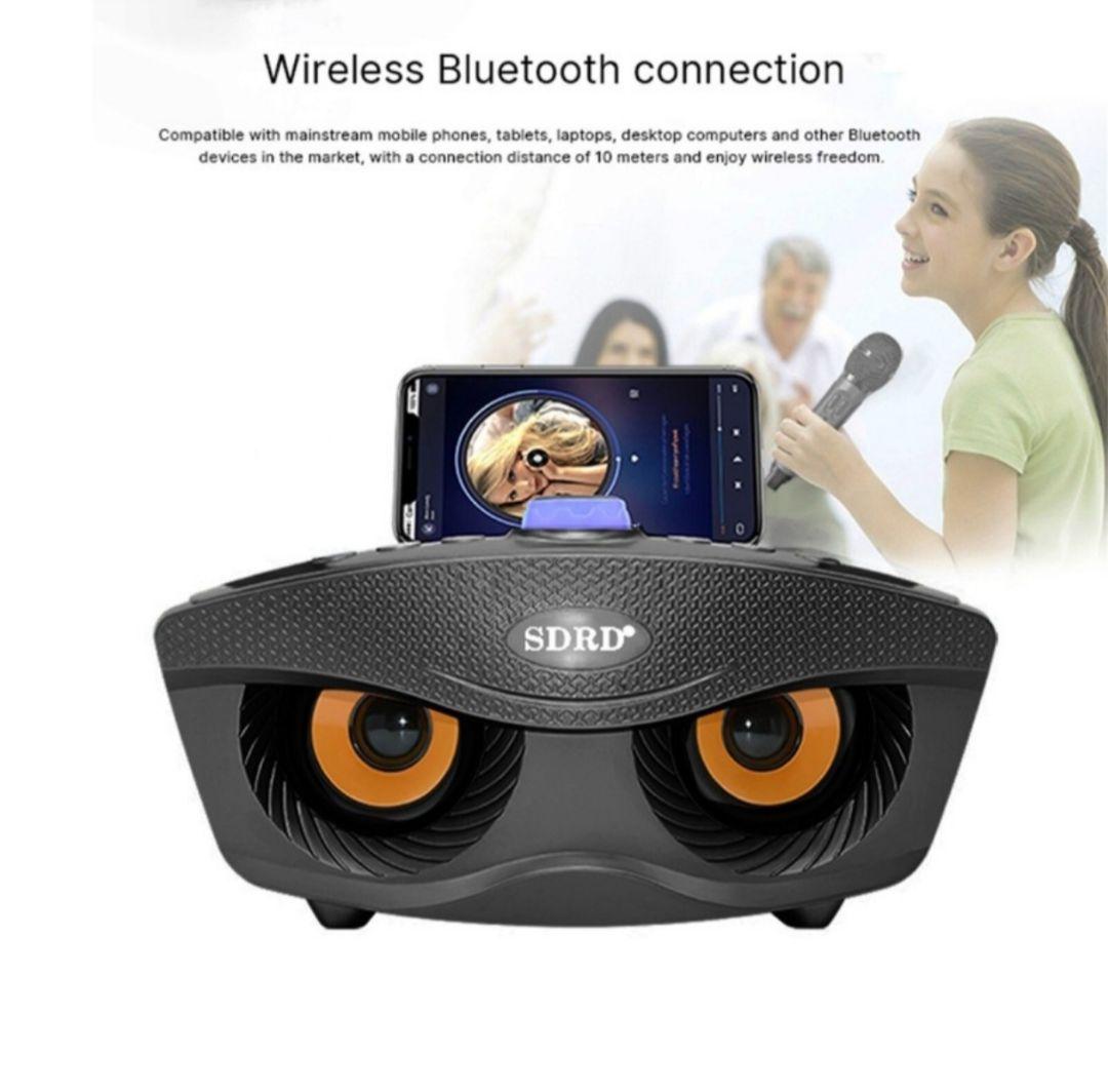 SDRD SD-306 ワイヤレスファミリーカラオケシステム（マイク2本付属）