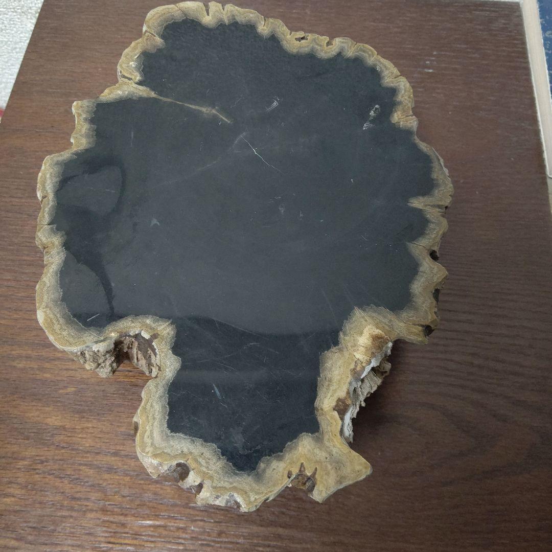 値下げ珪化木の置物　検木の化石　オブジェクトインテリアペトリファイドウッド