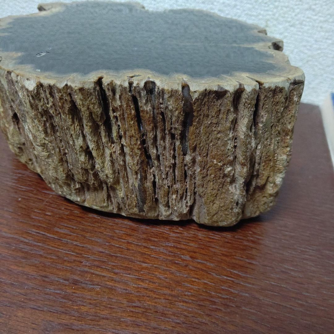 値下げ珪化木の置物　検木の化石　オブジェクトインテリアペトリファイドウッド
