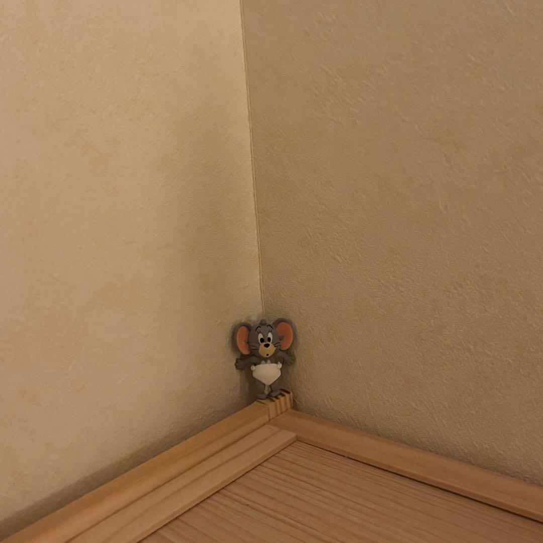 スノーボード palupalu