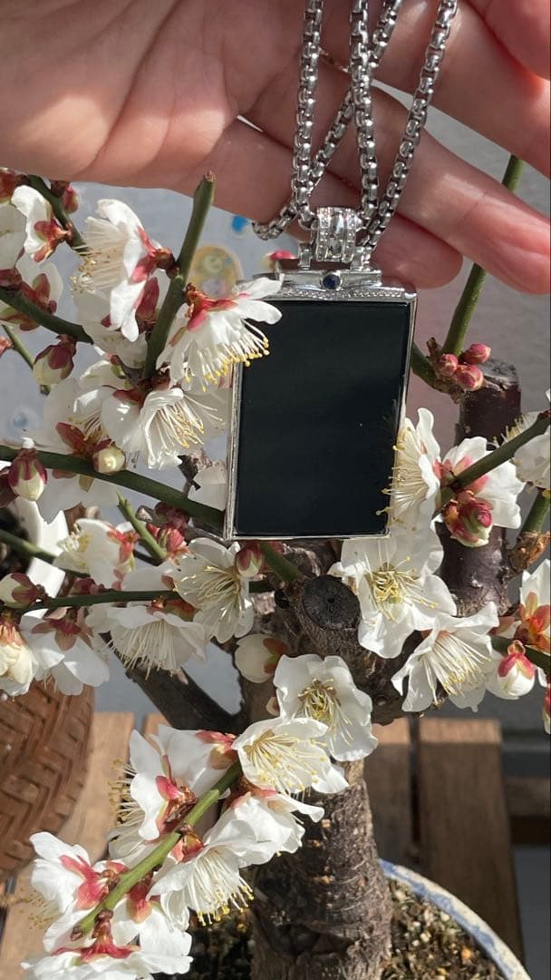 【バレンタインに】天然石 墨翠（黒翡翠）ペンダントネックレス 鑑定書付