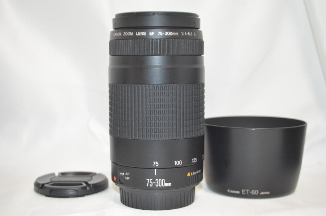 スポーツ観戦や旅行/Canon EF 75-300㎜F4-5.6