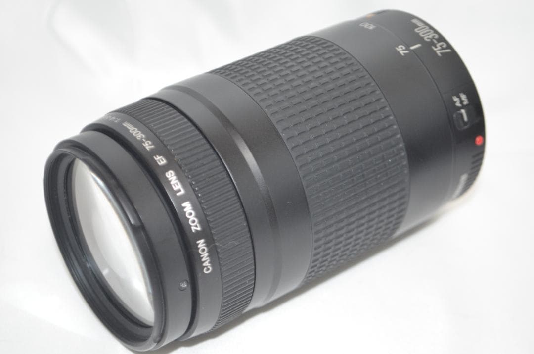 スポーツ観戦や旅行/Canon EF 75-300㎜F4-5.6