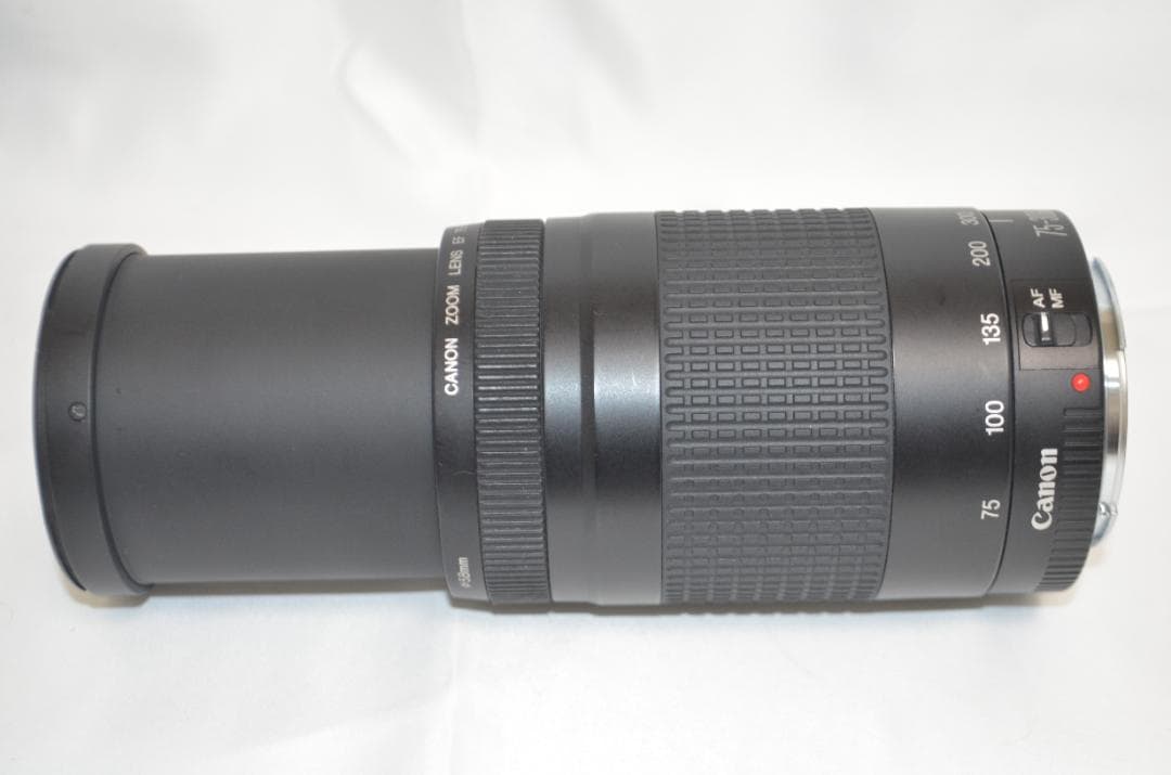 スポーツ観戦や旅行/Canon EF 75-300㎜F4-5.6