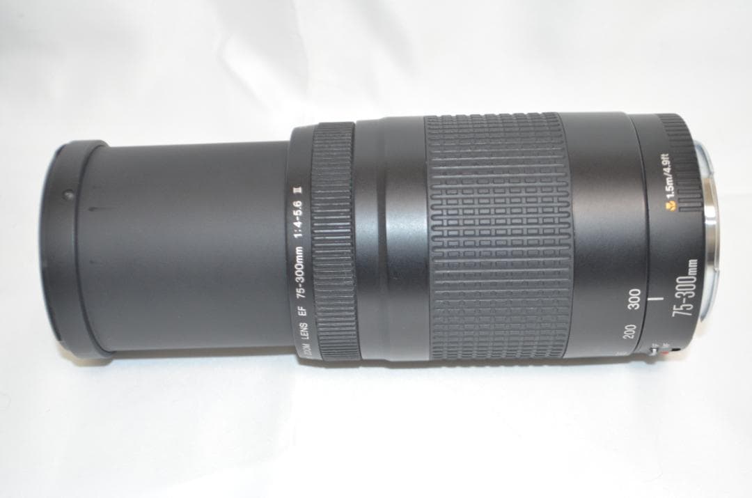 スポーツ観戦や旅行/Canon EF 75-300㎜F4-5.6