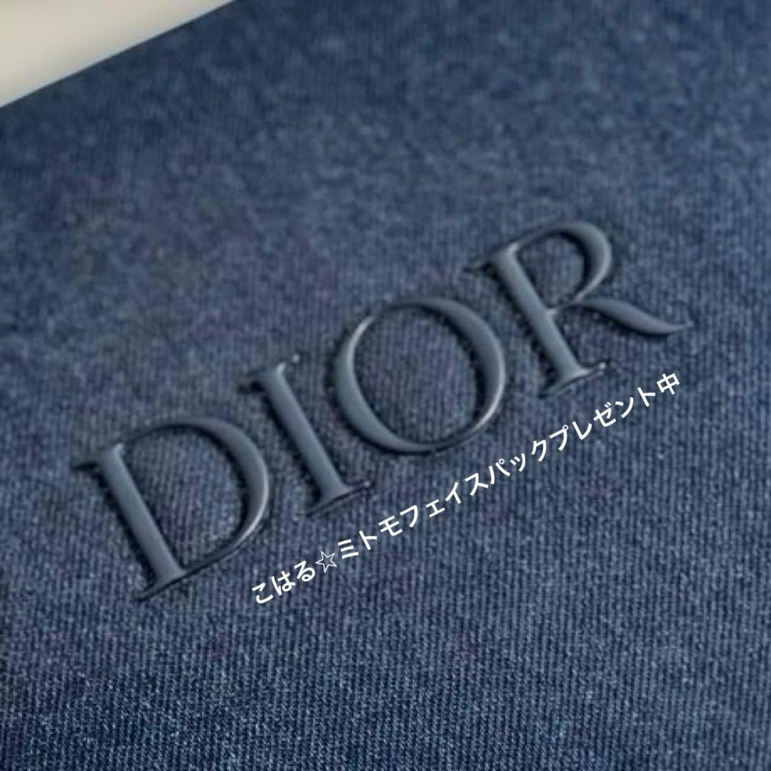 クリスチャンディオール VIP限定 ノベルティ ポーチ トラベル バック