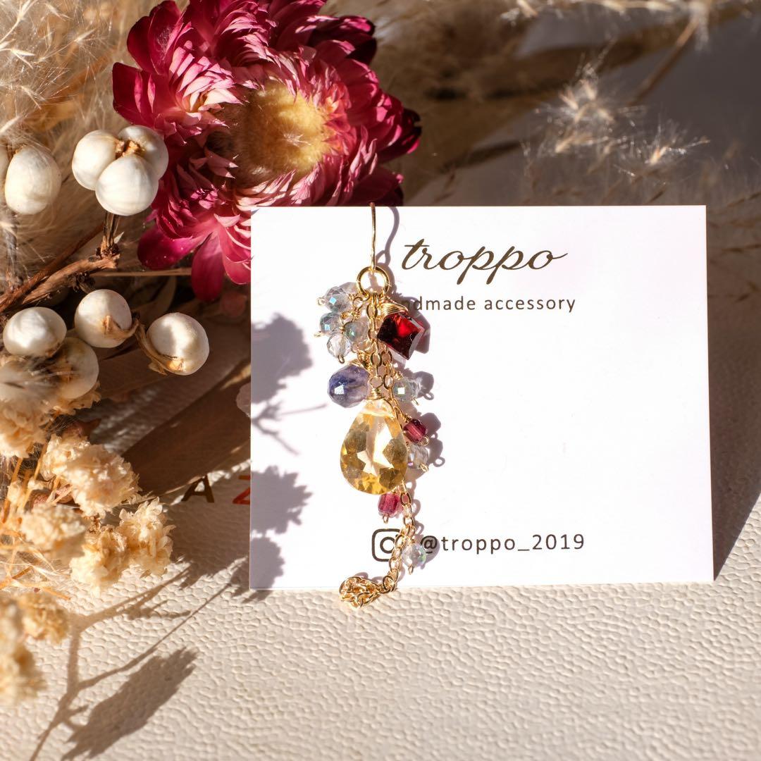 たぁ(ฅ✧ω✧ฅ)様