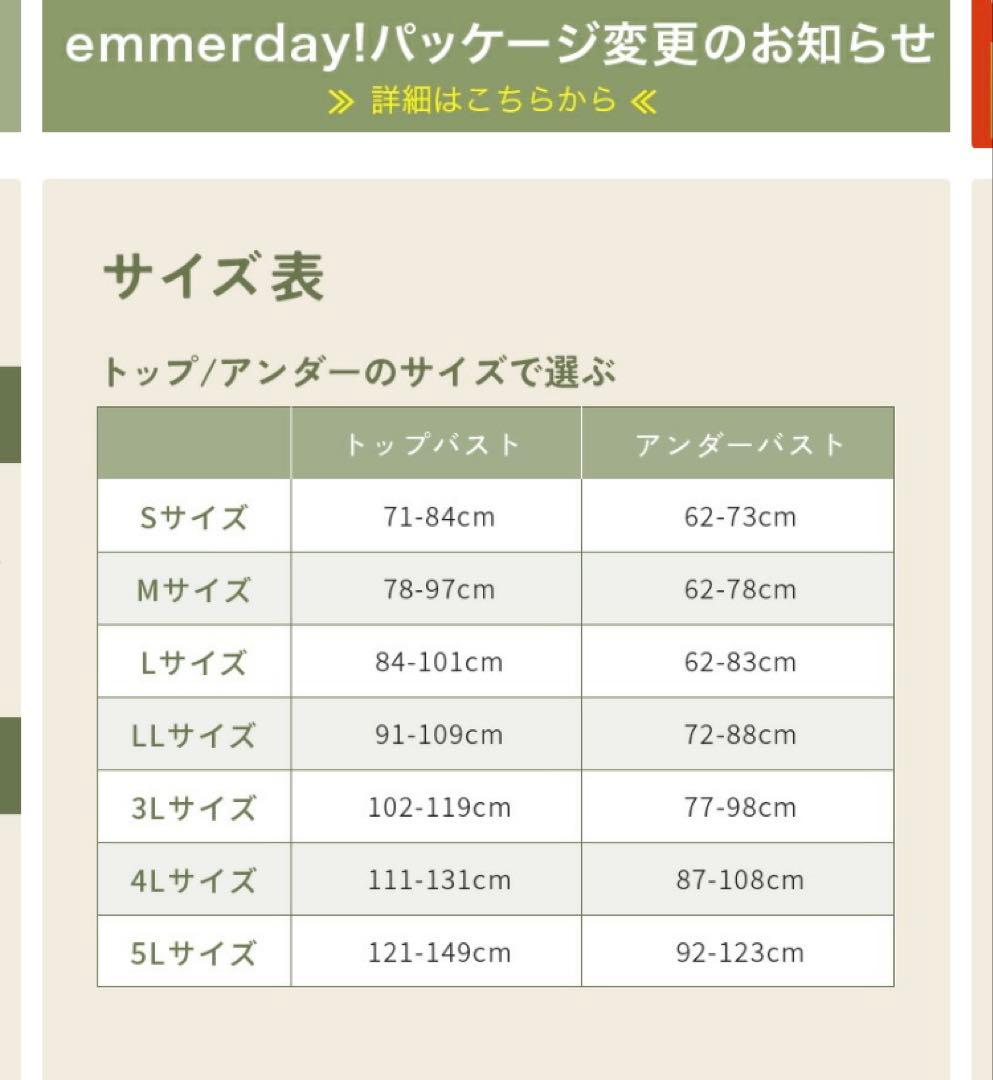 emmerdey ノンワイヤーブラ2枚セット オリジナルポーチ付き