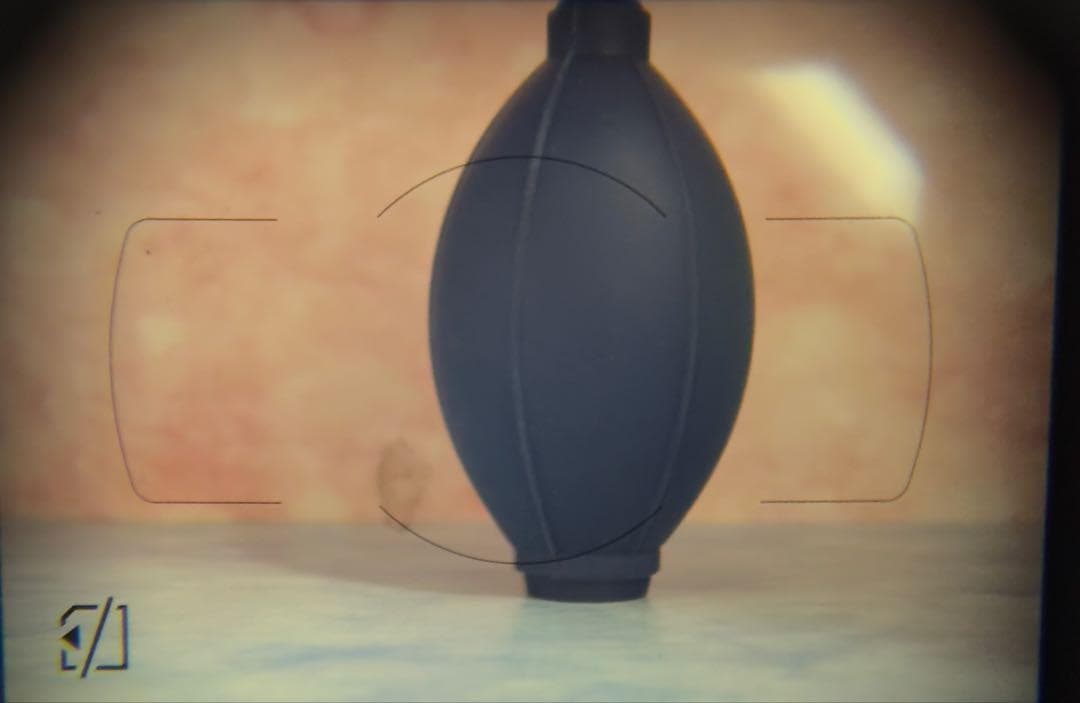 Nikon ニコン D5600★一眼レフカメラ★Wi-Fi★AF-Pレンズ