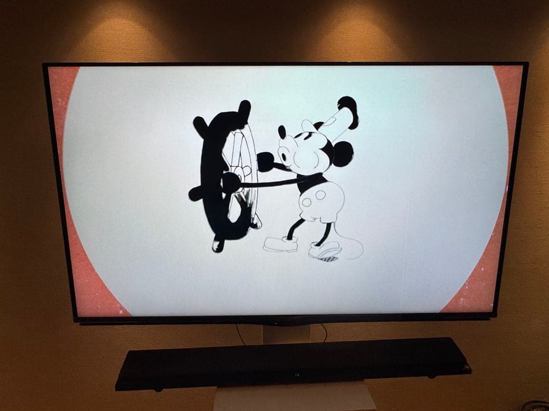 【訳あり】AQUOS 60インチテレビ