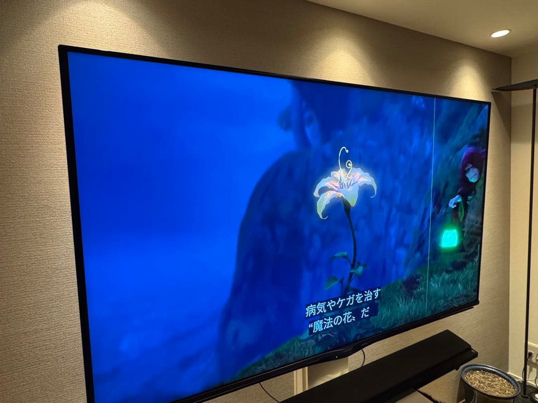 【訳あり】AQUOS 60インチテレビ