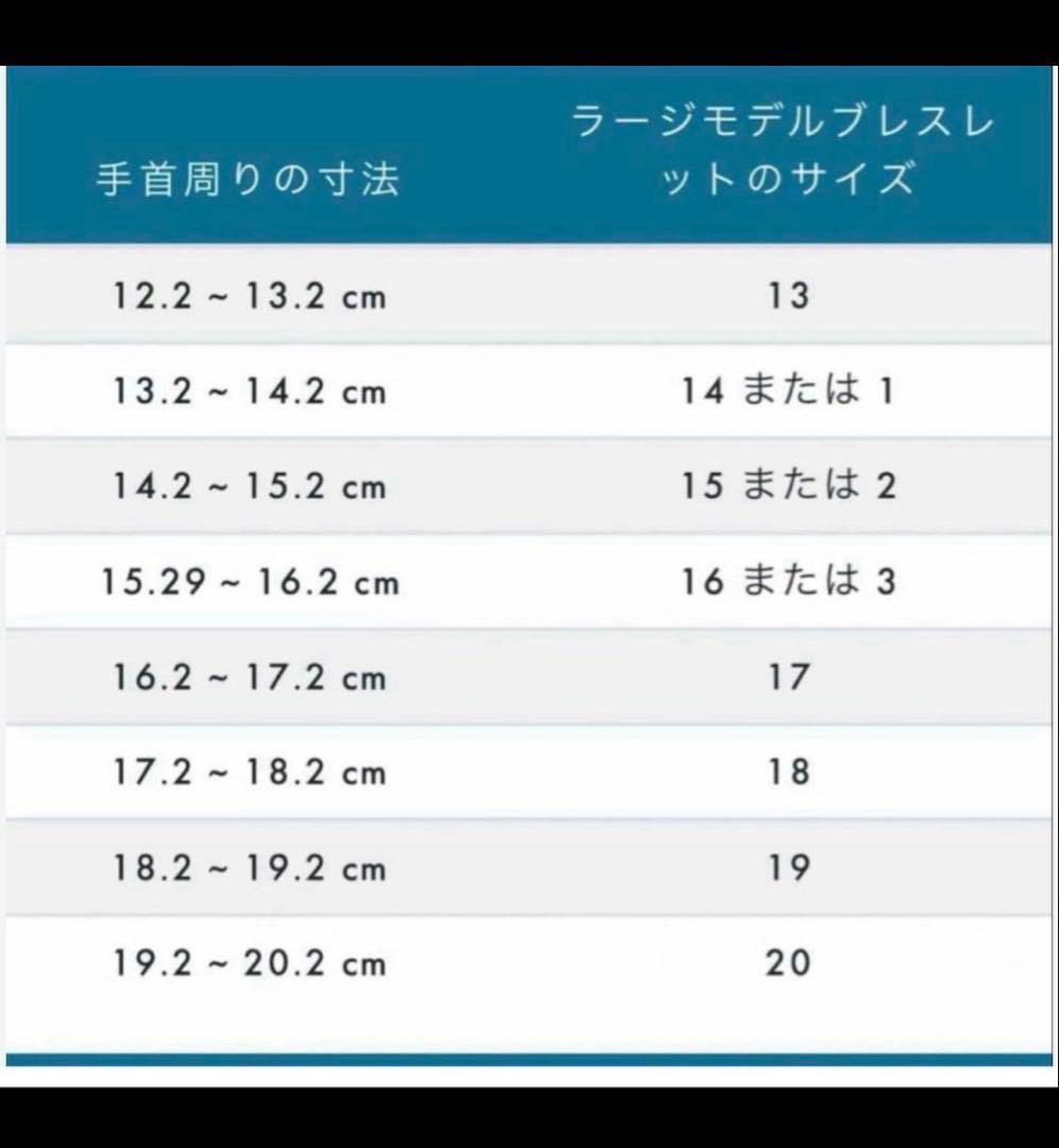 フレッド　Fred LM17 ブラック　フォース10