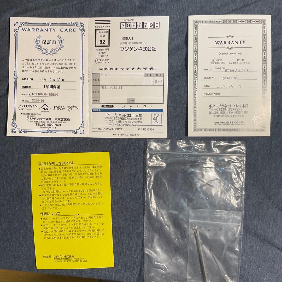ギター FGN (Fujigen) NTL10MAH SBB