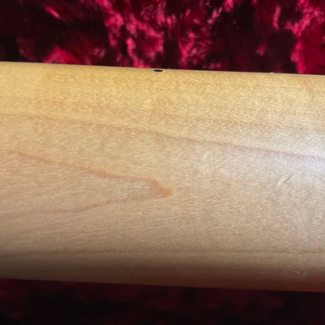 ギター FGN (Fujigen) NTL10MAH SBB