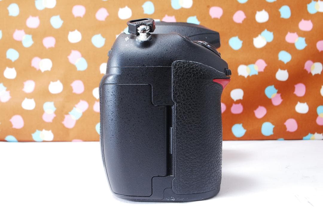 ✨元箱付き✨ショット数7755回✨Nikon D200 レンズセット