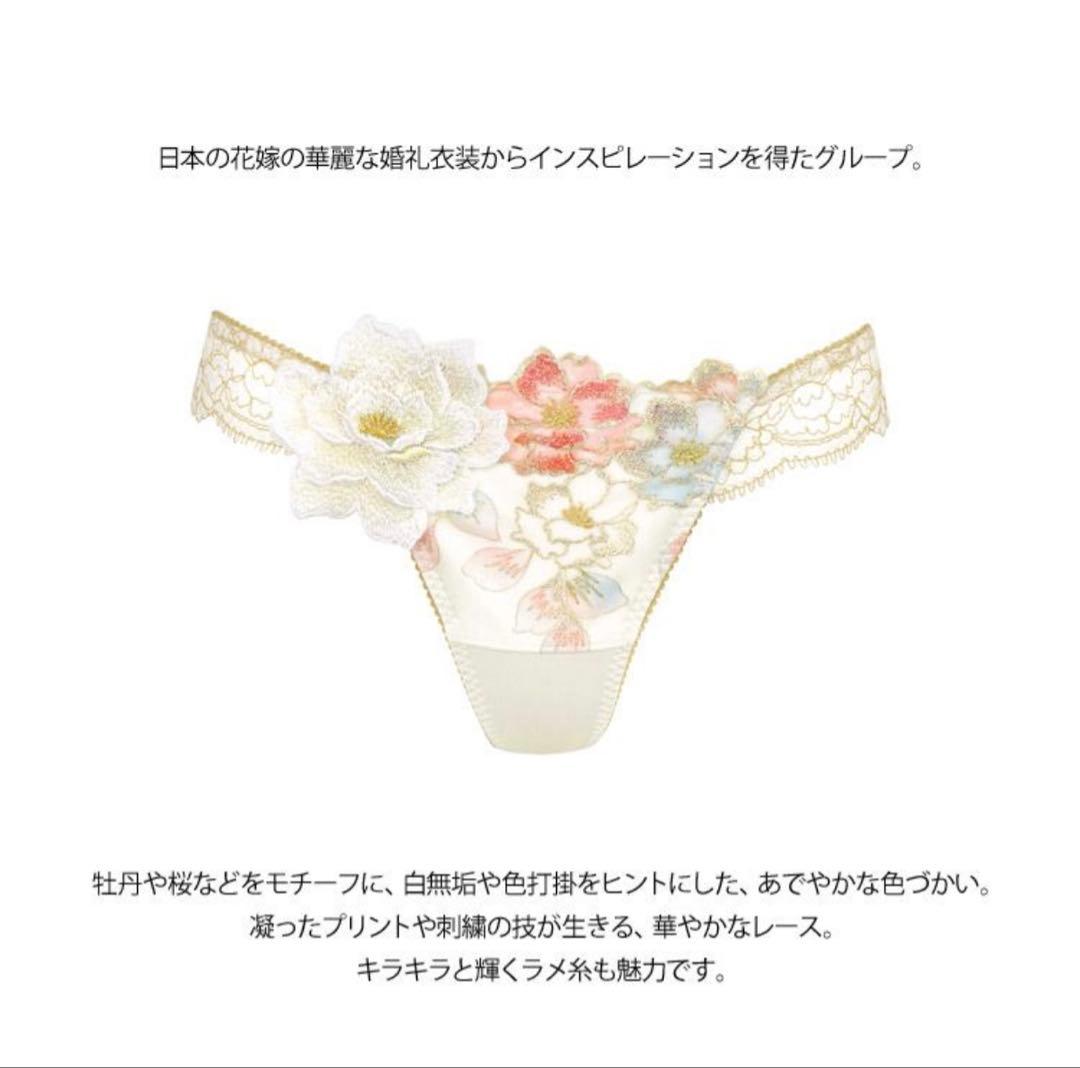 ワコール サルート BTJ403 プッシュアップタイプ P-UP E70M