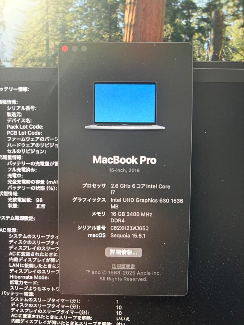 【難あり】MacBook Pro 15 2018 i7/16GB/512GB