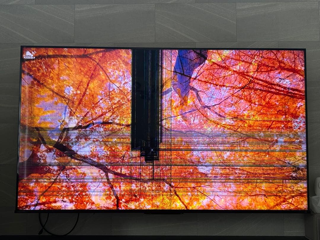 regza ジャンク品 65Z770L レグザ 液晶割れ