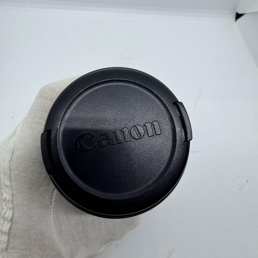 Canon EF 100mm f/2.8 キャノン マクロレンズ