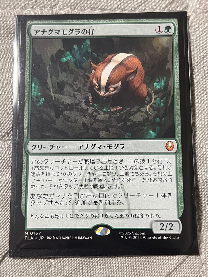 MTG マジック ザ ギャザリング アナグマモグラの仔 日本語 1枚 非foil