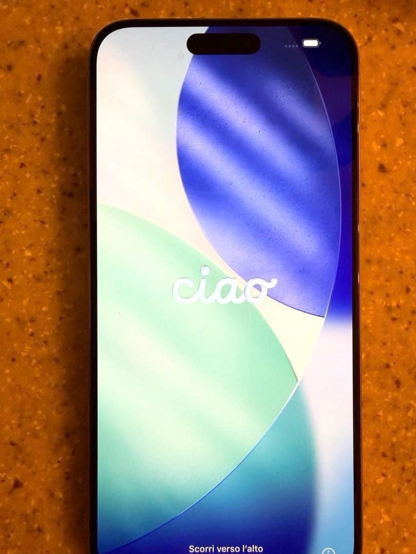 【限定SALE!!!】iPhone15ProMax SIM無し　リセット済み