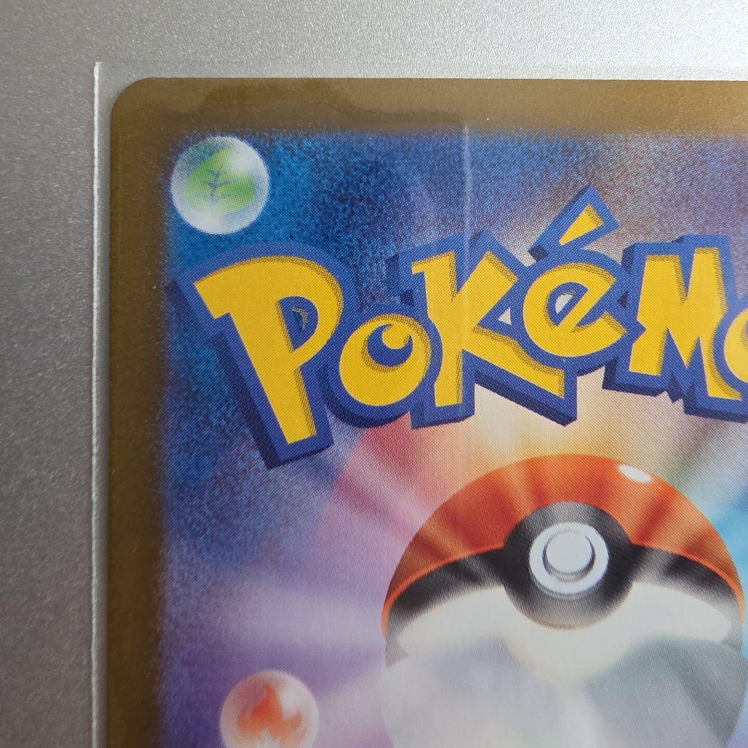 【新品】ゼイユ sar 1枚