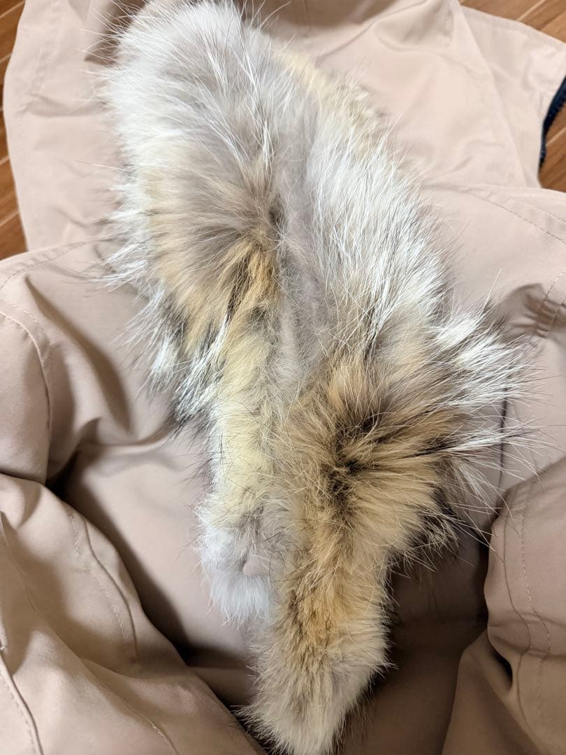   Arctic Program ダウンジャケット