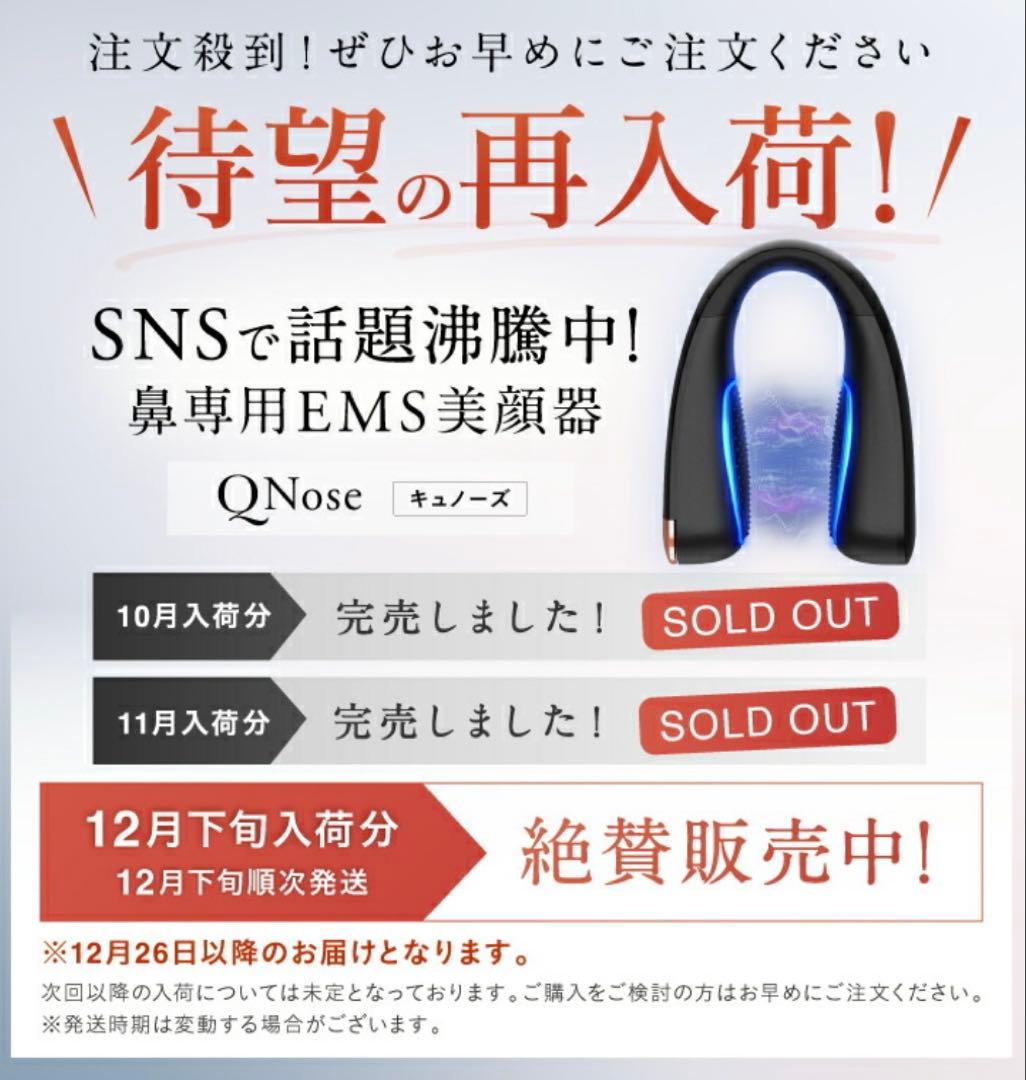 ほぼ未使用⭐︎NIPLUX Q Nose EMS美顔器 鼻専用