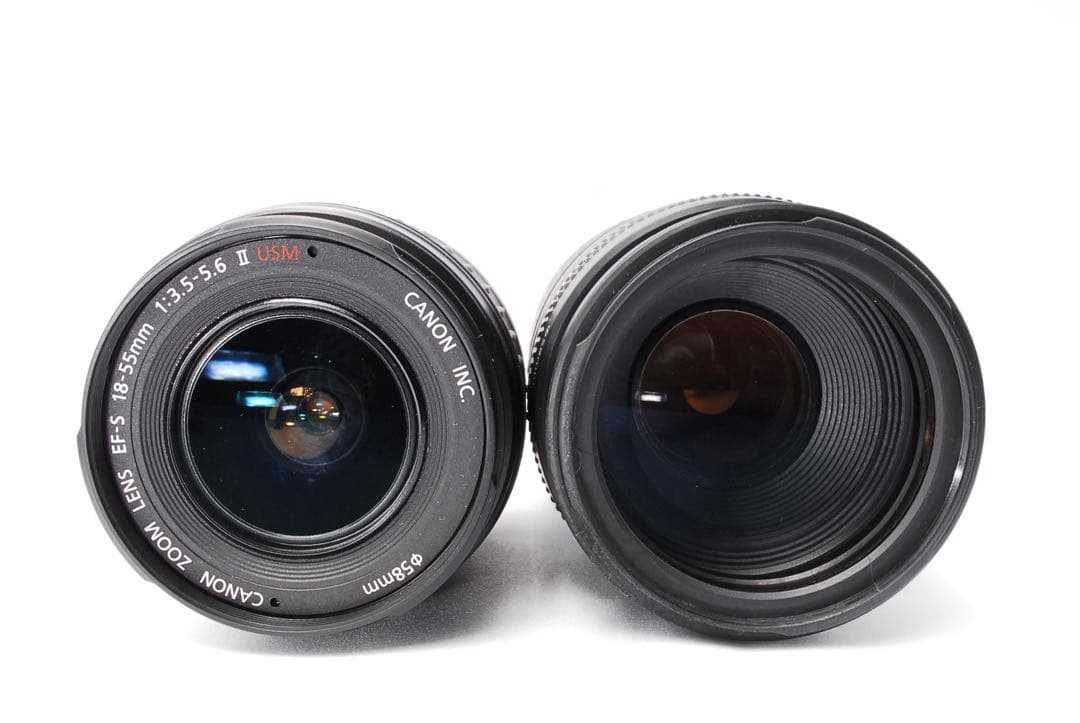 Canon kiss X5 一眼レフ☆望遠付きWレンズ☆おまけ付きですぐ使える☆