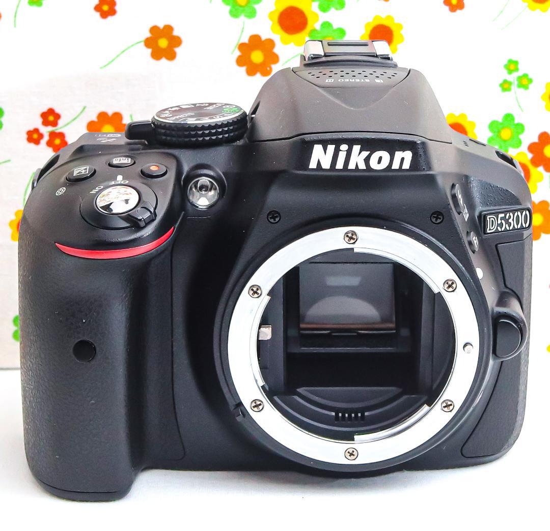 みっこ様　ニコン Nikon D5300　af-p 70-300 セット