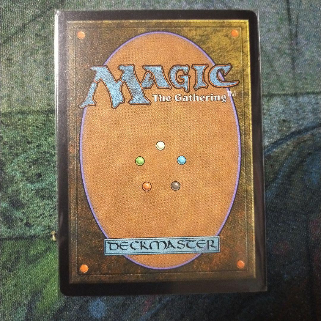 MTG 霧深い雨林 英語 Foil　マスターピース　EXP