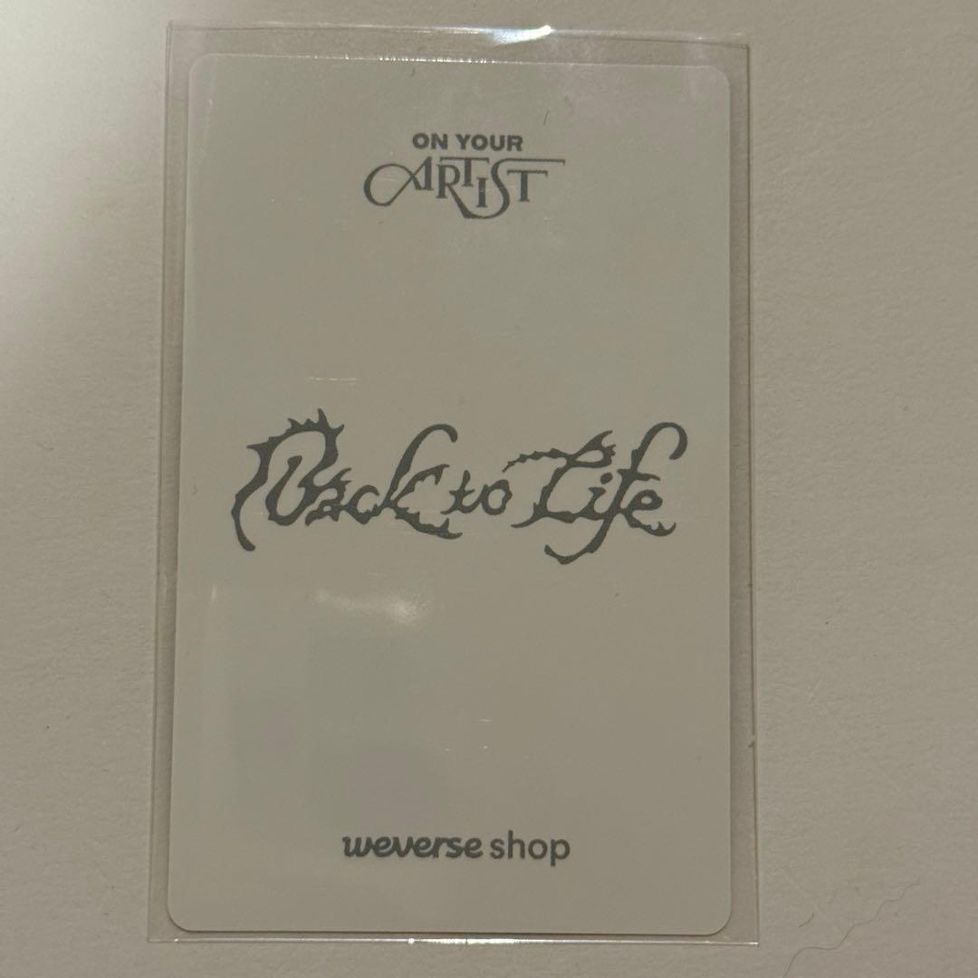 タレントカード &TEAM back to life M2 NICHOLAS