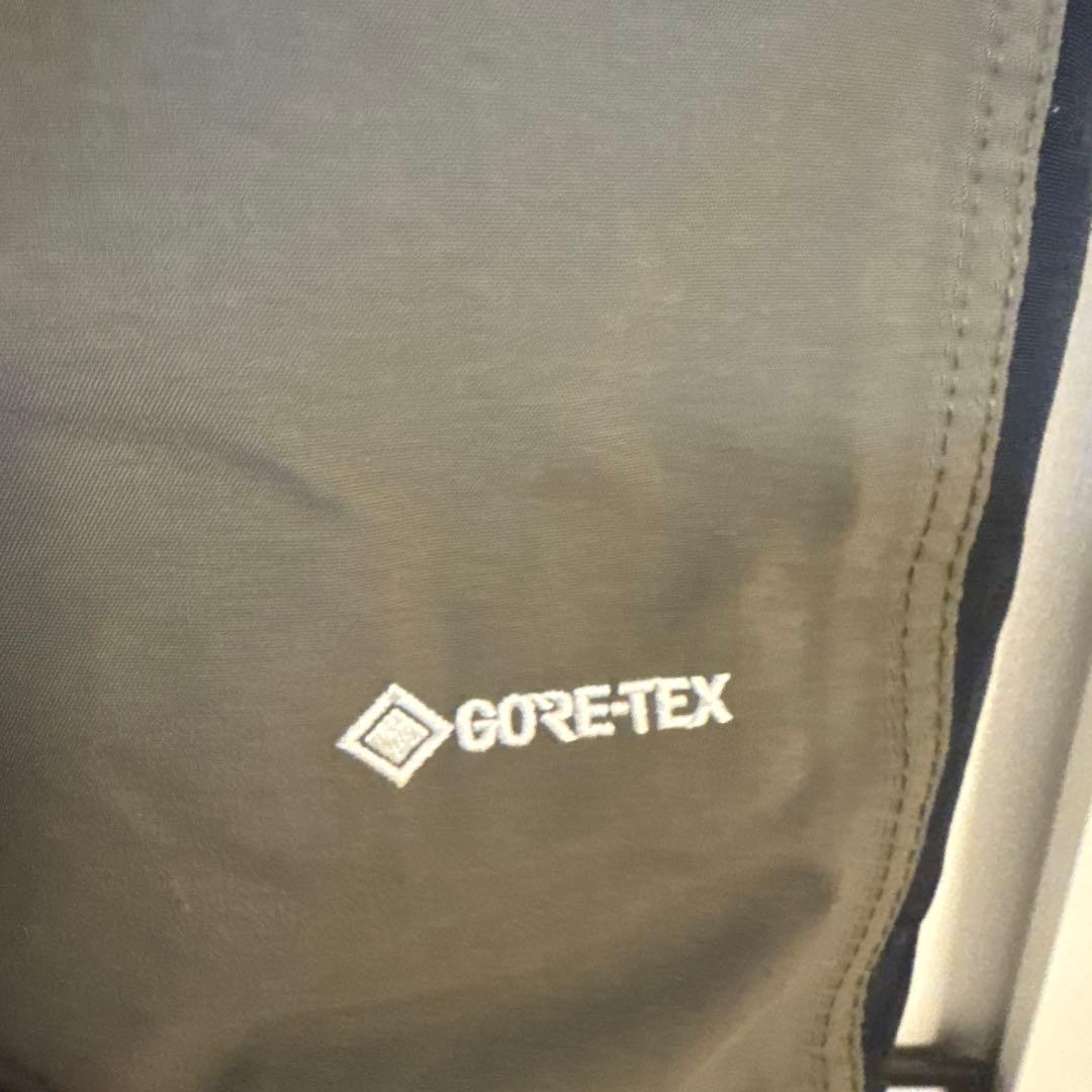 着用数回！The North face マウンテンダウンジャケット ニュートープ