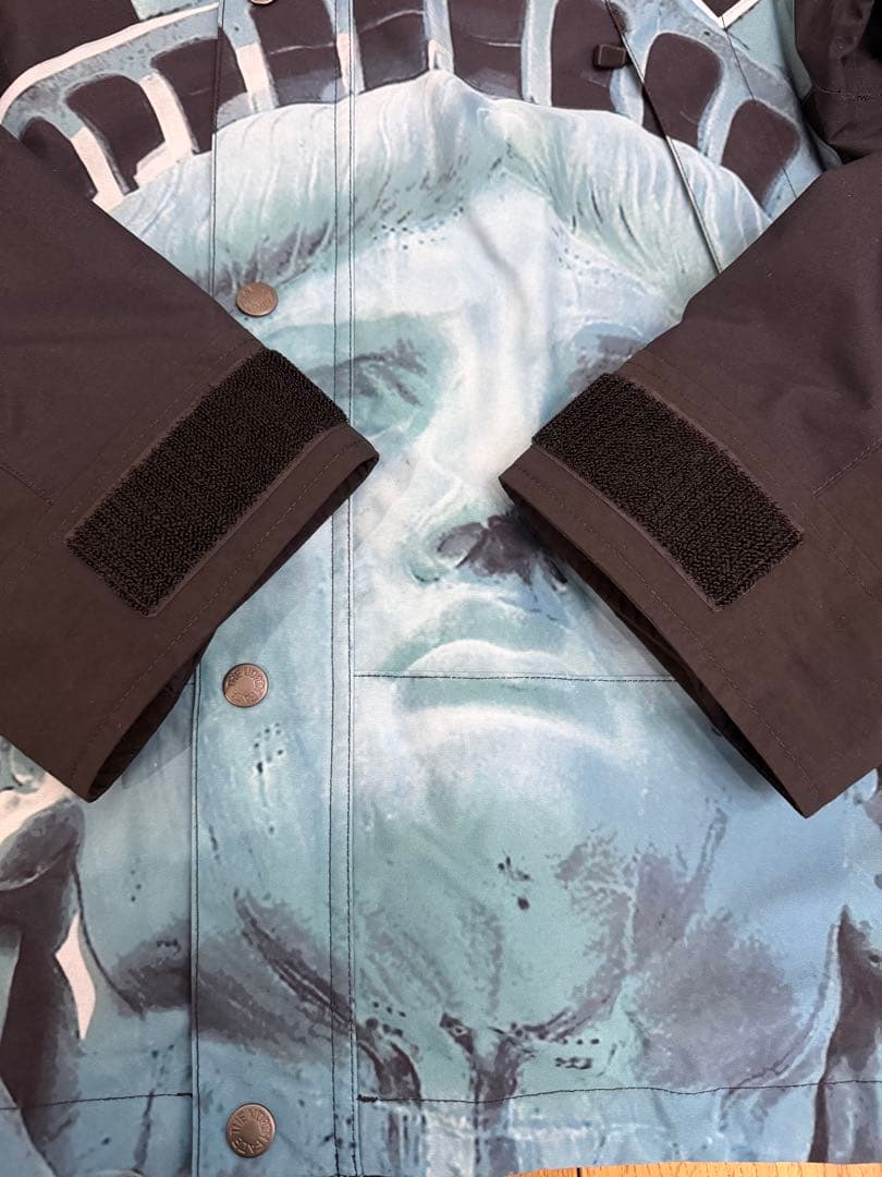 美品！Supreme ノースフェイス マウンテンパーカー 自由の女神 黒 S