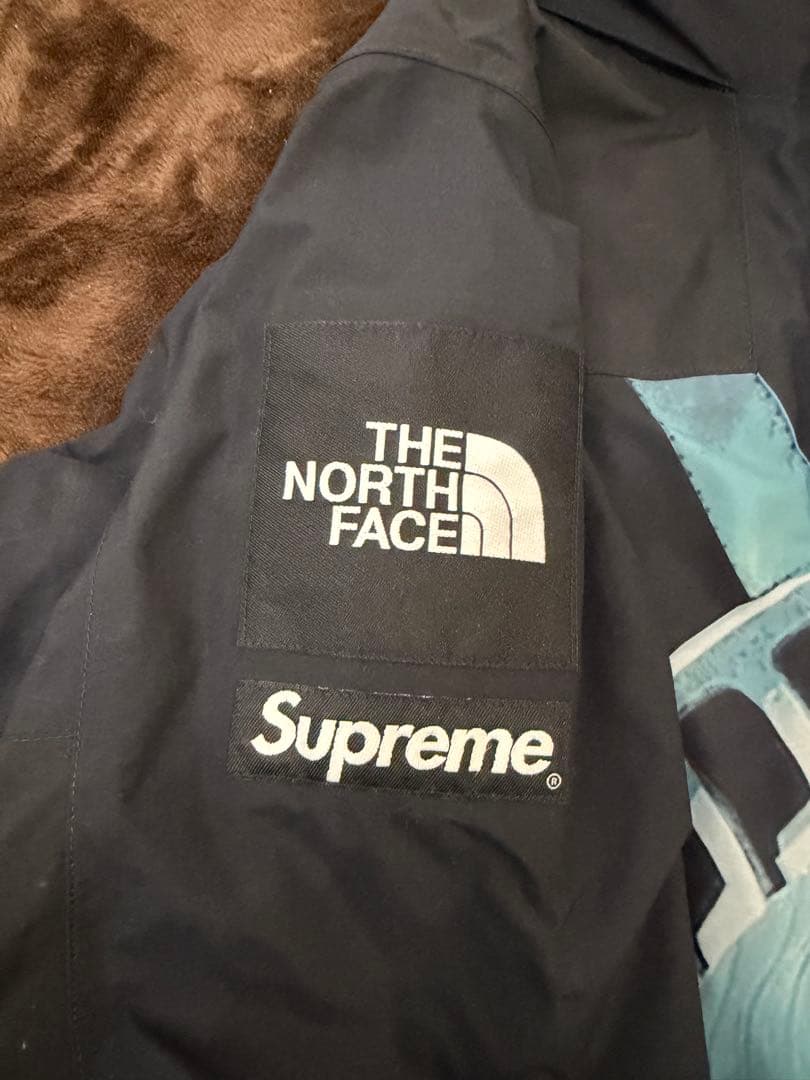 美品！Supreme ノースフェイス マウンテンパーカー 自由の女神 黒 S