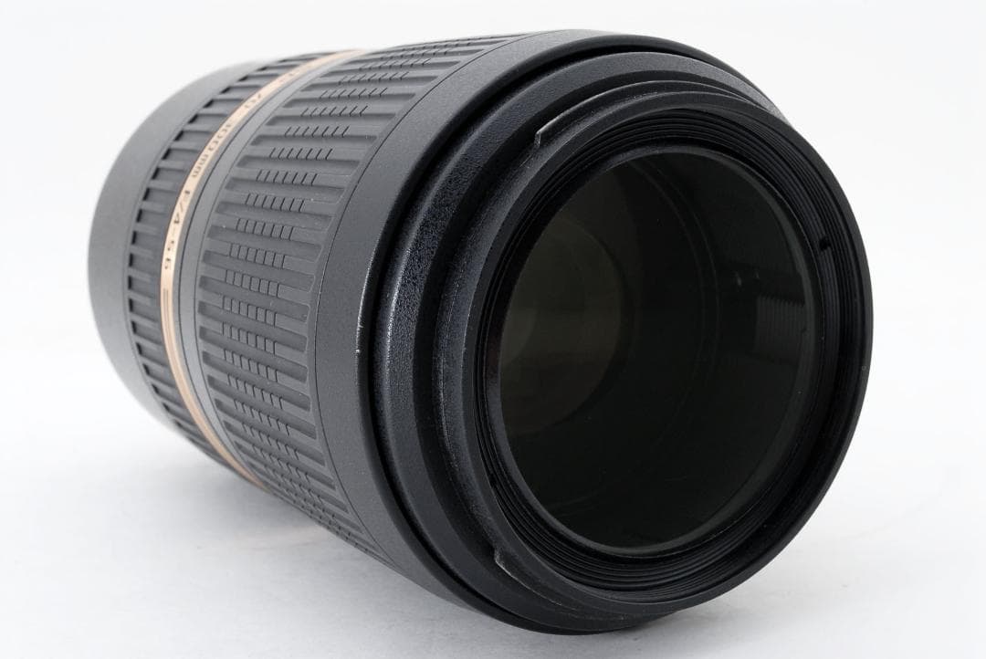 ニコンF SP 70-300mm F/4-5.6 Di VC USD(A005)