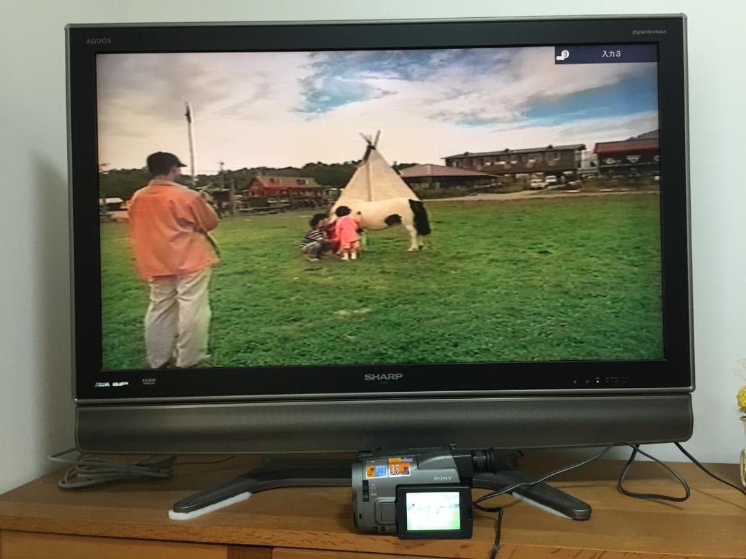 撮影再生ダビングOK　美品　SONY　CCD-TRV20　付属品有　Video8