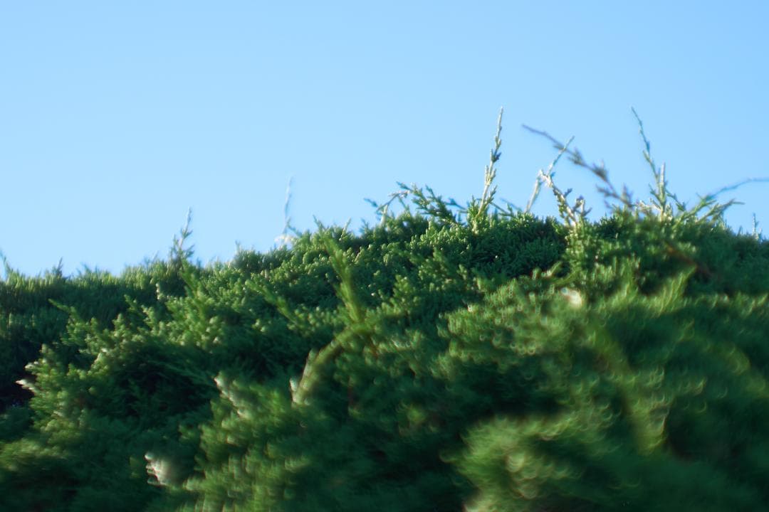 LEICA SUMMARIT 50mm F1.5 L39スクリュー