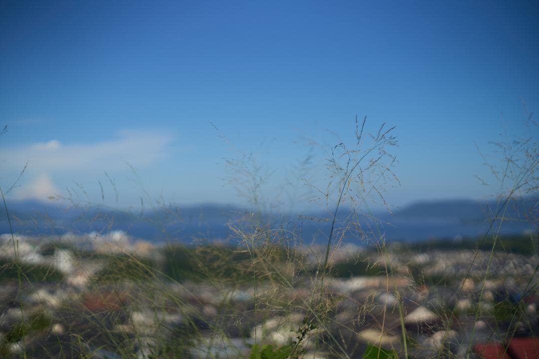 LEICA SUMMARIT 50mm F1.5 L39スクリュー