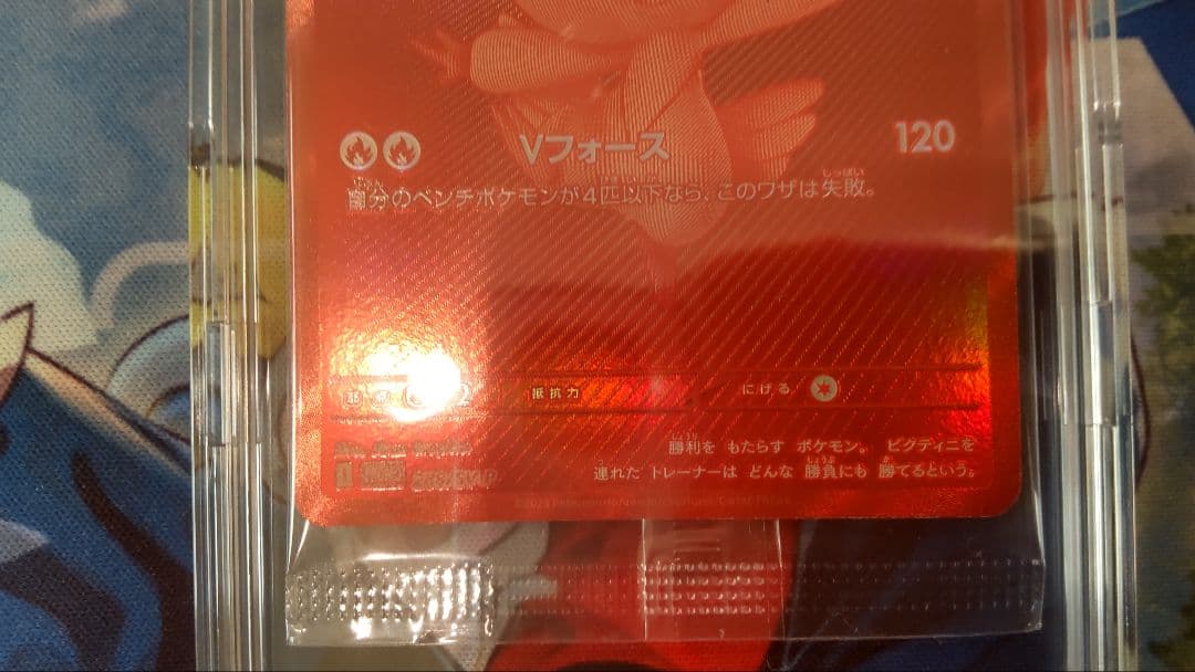 ポケモンカード ビクティニ BWR争奪戦 大会景品 未開封