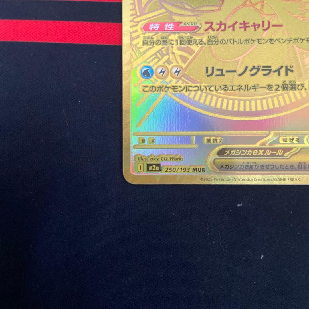 メガカイリューex mur