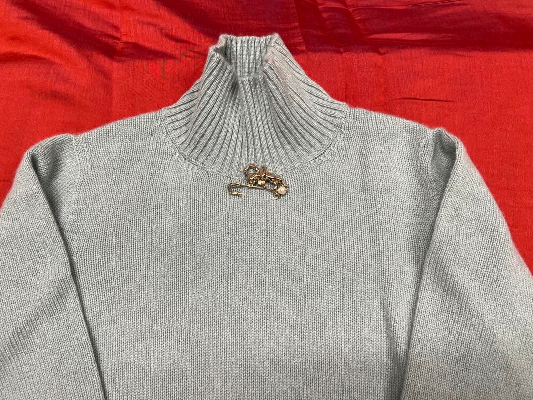 柿*種様 AGNONA アニオナ　カシミヤ100% ハイネックセーター（新品未使