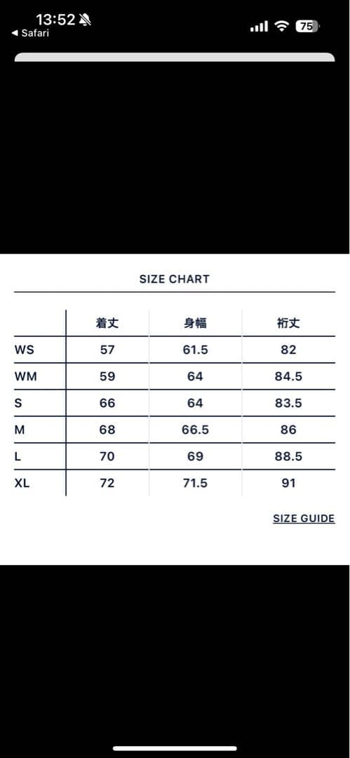 ノースフェイス　マウンテンパーカー　パープルレーベル