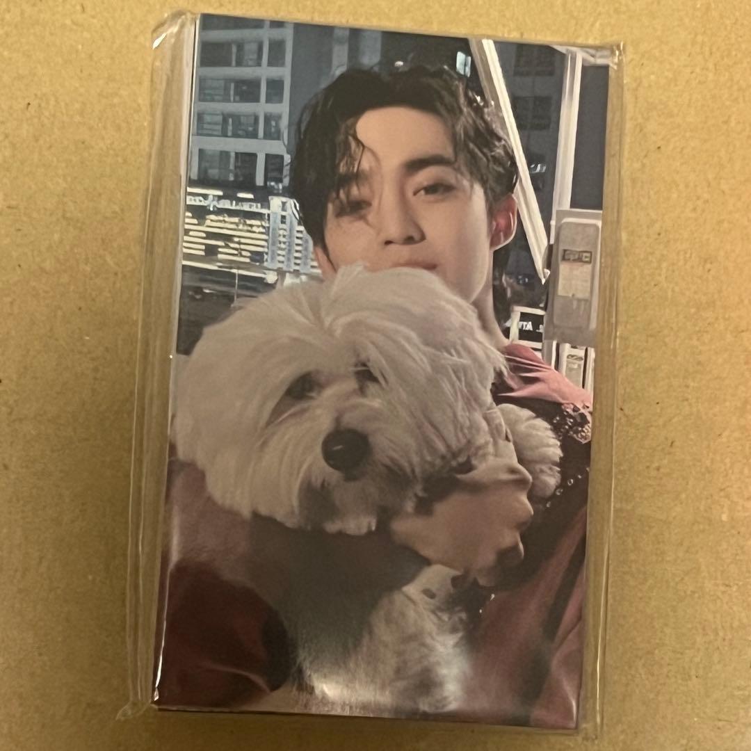 SEVENTEEN トレカ　ユニバ　FML 東京 会場限定 コンプリート セット