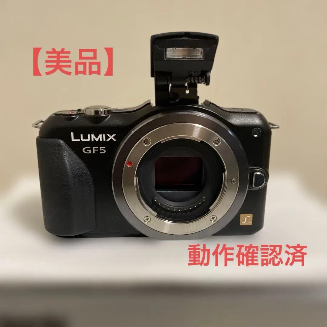 Panasonic DMC-GF5X ミラーレスカメラ　ボディ