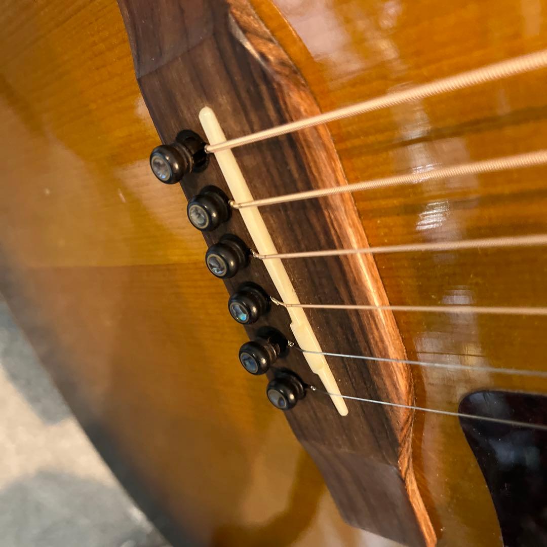 Eastman E10 SS 【book13さん専用】