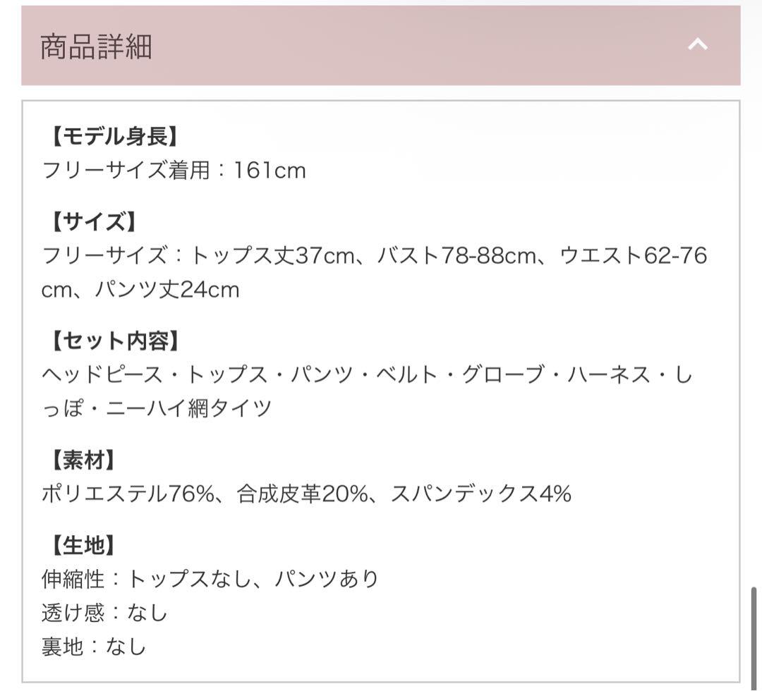 【シスルコラボ】グロッシーレザーサキュバスコスチューム