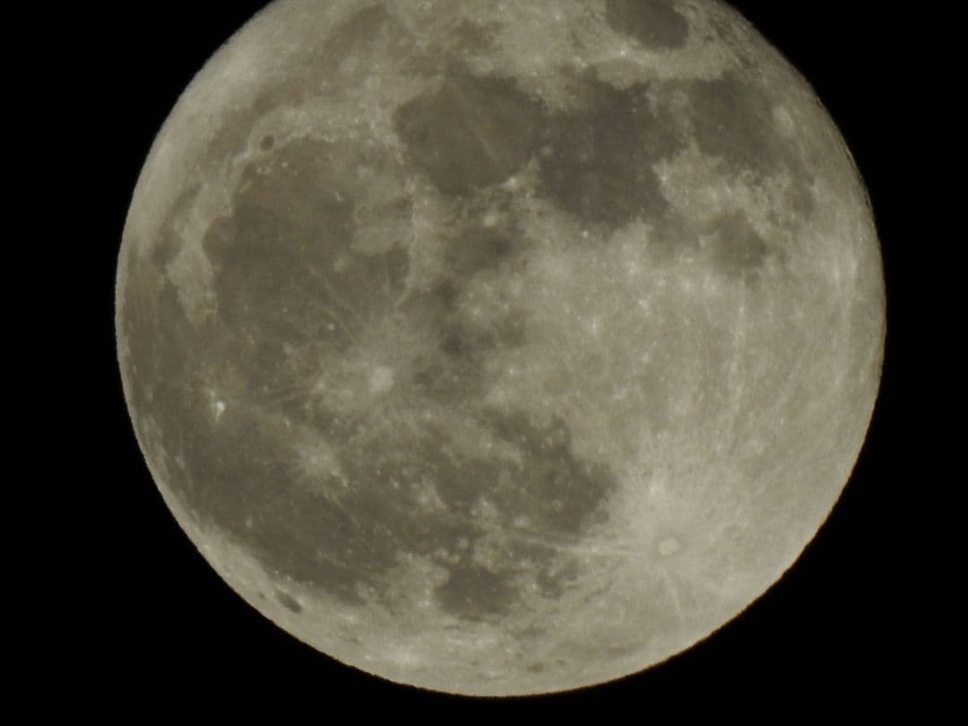 ニコン　COOLPIX P900