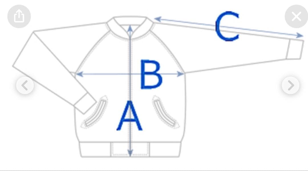 ササフラスのナイロンブルゾン