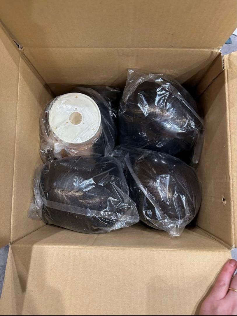 カットウィッグ